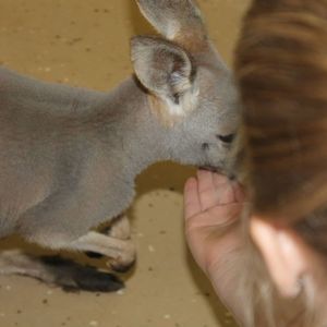 Meet your Posher, Jim